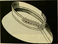 Picture 222 of 1725 from Strawbridge & Clothier's quarterly (1882), leaf 69