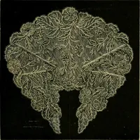 An illustration from Strawbridge & Clothier's quarterly (1882)