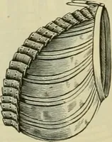 An illustration from Strawbridge & Clothier's quarterly (1882)