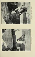 An illustration from Streams in the desert : a picture of life in Livingstonia (1919)