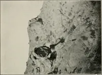 An illustration from The structural and industrial materials of California (1906)