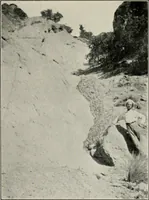 Picture 58 of 147 from The structural and industrial materials of California (1906), leaf 134