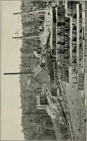 Picture 71 of 147 from The structural and industrial materials of California (1906), leaf 160