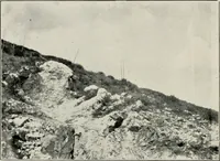 Picture 98 of 147 from The structural and industrial materials of California (1906), leaf 223