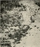 Picture 123 of 147 from The structural and industrial materials of California (1906), leaf 301