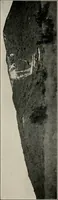 Picture 134 of 147 from The structural and industrial materials of California (1906), leaf 316