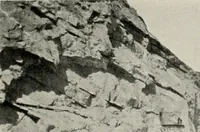 Picture 20 of 147 from The structural and industrial materials of California (1906), leaf 56