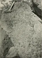 Picture 26 of 147 from The structural and industrial materials of California (1906), leaf 64
