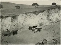 Picture 29 of 147 from The structural and industrial materials of California (1906), leaf 74
