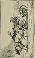 An illustration from The struggles for life and home in the North-west [microform] (1890)