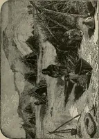 Picture 11 of 27 from The struggles for life and home in the North-west [microform] (1890), leaf 90