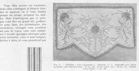 An illustration from JOURNAL DES OUVRAGES DE DAMES - N. 9/1929 - frammenti (1929)