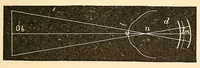 Picture 3 of 17 from The student's guide to diseases of the eye (1887), leaf 39