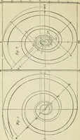 An illustration from The student's instructor in drawing and working : the five orders of architecture : fully explaining the best methods for striking regular and quirked mouldings, for diminishing and glueing of columns and capitals, for finding the true diameter of an order to any given height, for striking the ionic volute, circular or elliptical, with finished examples, on a large scale, of the orders, their planceers, etc. and some designs for door-cases (1837)
