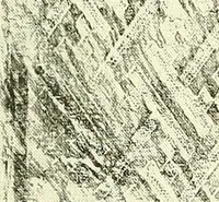 An illustration from Studies in the decorative art of Japan (1910)
