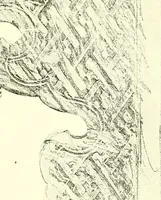 An illustration from Studies in the decorative art of Japan (1910)