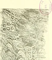An illustration from Studies in the decorative art of Japan (1910)