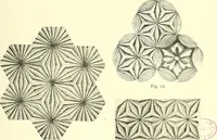 An illustration from Studies in the decorative art of Japan (1910)
