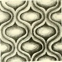 An illustration from Studies in the decorative art of Japan (1910)