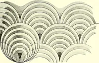 An illustration from Studies in the decorative art of Japan (1910)
