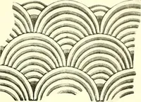 An illustration from Studies in the decorative art of Japan (1910)