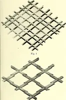 An illustration from Studies in the decorative art of Japan (1910)