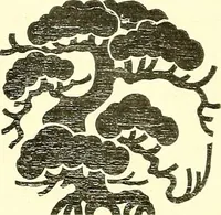 An illustration from Studies in the decorative art of Japan (1910)