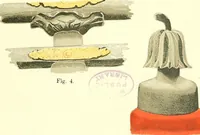 An illustration from Studies in the decorative art of Japan (1910)