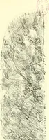 An illustration from Studies in the decorative art of Japan (1910)