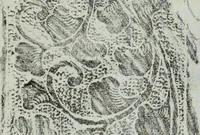 An illustration from Studies in the decorative art of Japan (1910)
