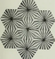 An illustration from Studies in the decorative art of Japan (1910)