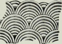 An illustration from Studies in the decorative art of Japan (1910)