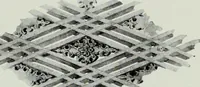 An illustration from Studies in the decorative art of Japan (1910)