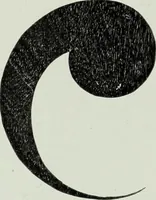 An illustration from Studies in the decorative art of Japan (1910)