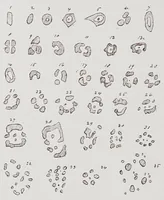 An illustration from Studies in the evolution of animals (1895)
