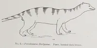 Picture 12 of 15 from Studies in the evolution of animals (1895), leaf 375