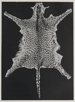 An illustration from Studies in the evolution of animals (1895)