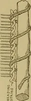 An illustration from Studies in primitive looms (1918)