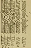 An illustration from Studies in primitive looms (1918)