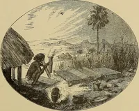 An illustration from Studies in primitive looms (1918)