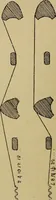 An illustration from Studies in primitive looms (1918)