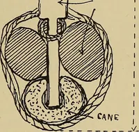 An illustration from Studies in primitive looms (1918)