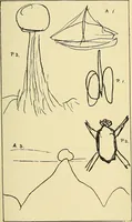 Picture 4 of 8 from Studies in psychical research (1897), leaf 222