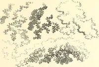 An illustration from Studies of trees in pencil and in water colors (1895)
