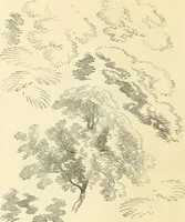 An illustration from Studies of trees in pencil and in water colors (1895)