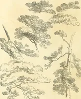 An illustration from Studies of trees in pencil and in water colors (1895)