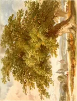 An illustration from Studies of trees in pencil and in water colors (1895)