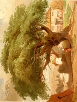 An illustration from Studies of trees in pencil and in water colors (1895)