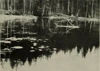 An illustration from Studio international (1893)