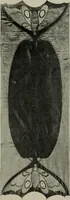Picture 226 of 387 from Studio international (1893), leaf 230
